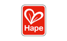 Hape兒童玩具品牌介紹