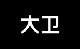 大衛拖把品牌介紹